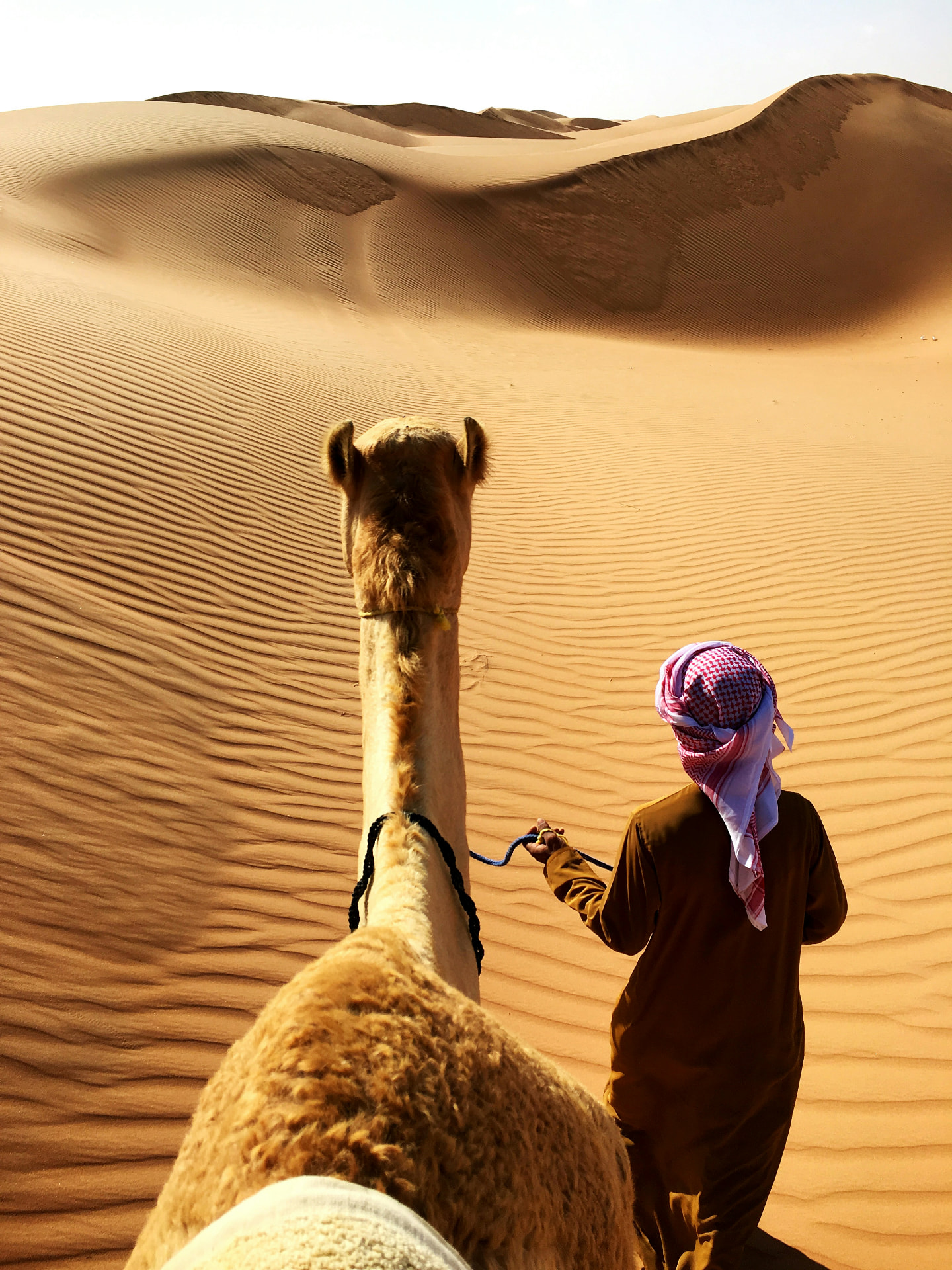 Day 2: Dades Valley → Todra Gorge → Tinghir → Erfoud / Rissani → Merzouga